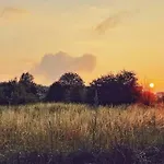 Urban Jungle Taras- Luksusowy W Gdyni. 아파트 *