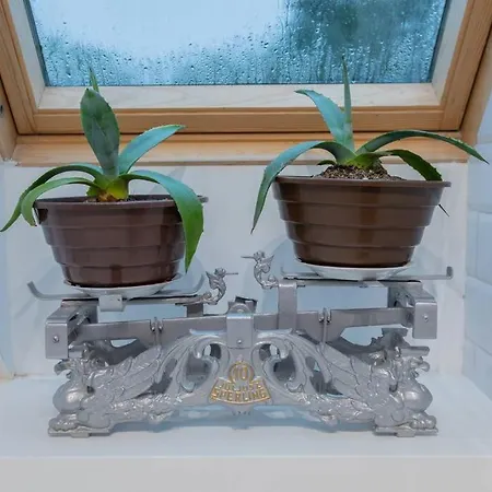 Urban Jungle Taras- Luksusowy W Gdyni. Apartment *