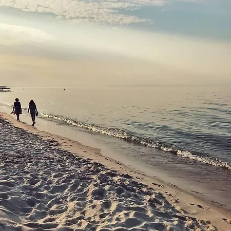 Urban Jungle Taras- Luksusowy W Gdyni. Gdynia