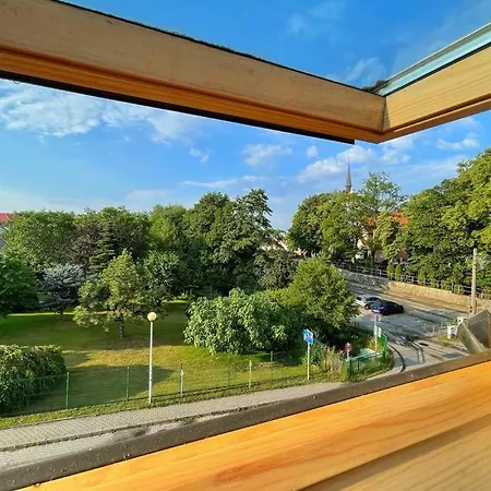 Urban Jungle Taras- Luksusowy W Gdyni. Apartman