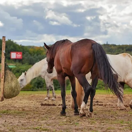 Apartment Urban Jungle Taras- Luksusowy W Gdyni. *