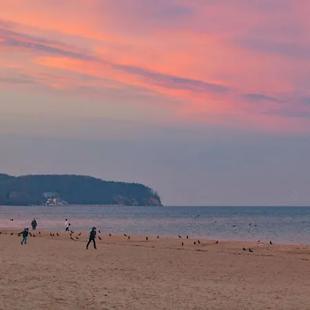 Urban Jungle Taras- Luksusowy W Gdyni. Apartment