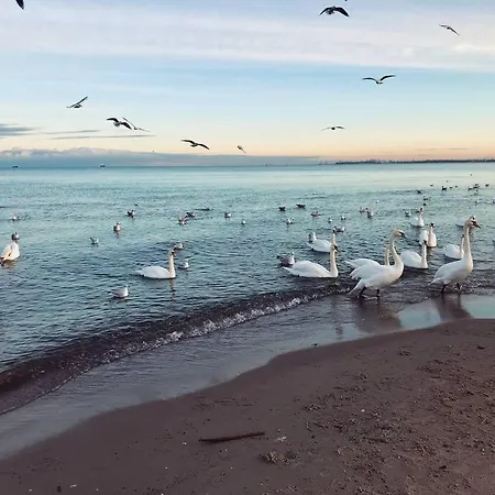 Urban Jungle Taras- Luksusowy W Gdyni. * Gdynia