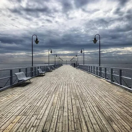 Apartment Urban Jungle Taras- Luksusowy W Gdyni. Gdynia