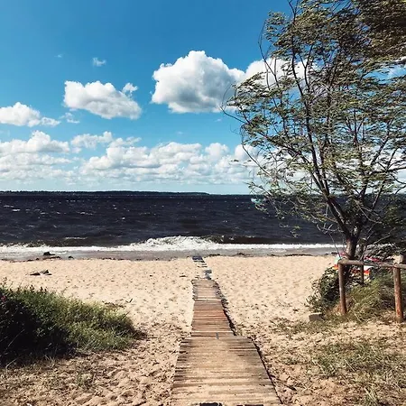 Urban Jungle Taras- Luksusowy W Gdyni. * Gdynia