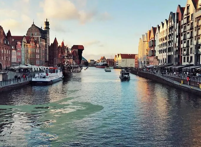 Urban Jungle Taras- Luksusowy W Gdyni. *