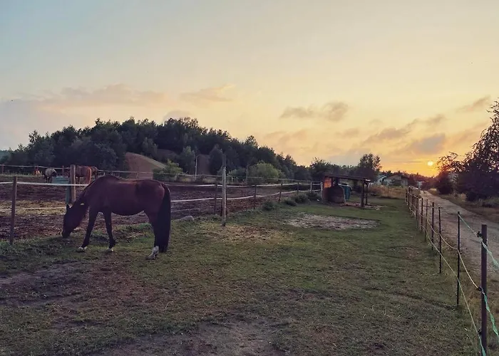 公寓 Urban Jungle Taras- Luksusowy W Gdyni. 格丁尼亚