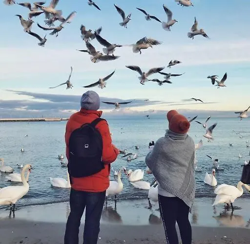 Urban Jungle Taras- Luksusowy W Gdyni. Apartment *