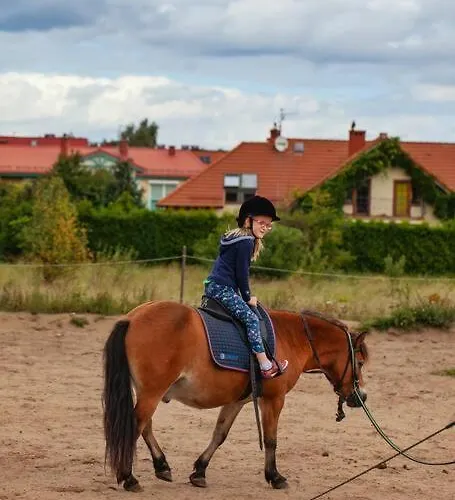 Apartment Urban Jungle Taras- Luksusowy W Gdyni.