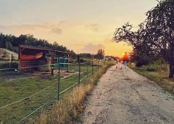 Urban Jungle Taras- Luksusowy W Gdyni.