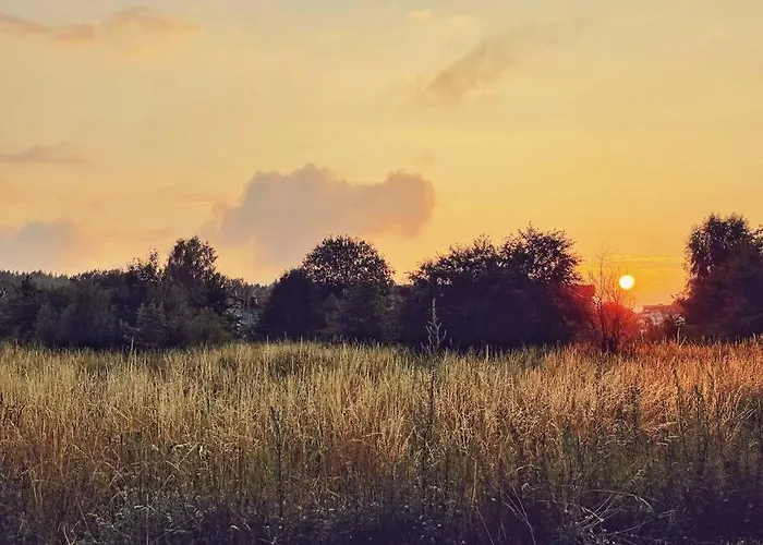 Urban Jungle Taras- Luksusowy W Gdyni. 公寓 *