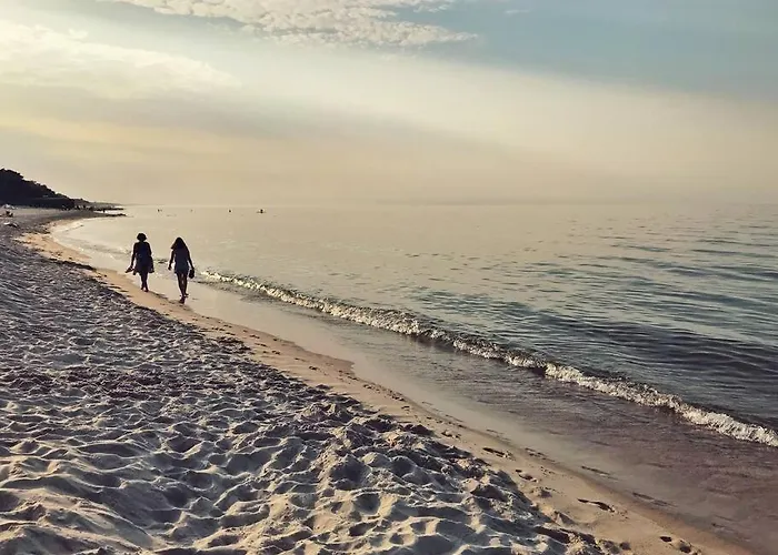 Urban Jungle Taras- Luksusowy W Gdyni. 格丁尼亚