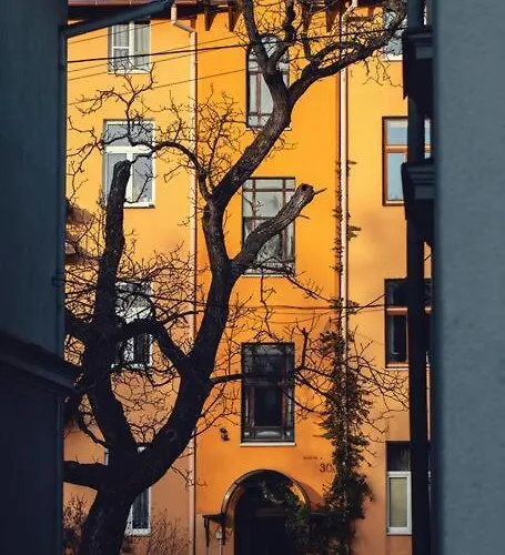 Urban Jungle Taras- Luksusowy W Gdyni. * 格丁尼亚