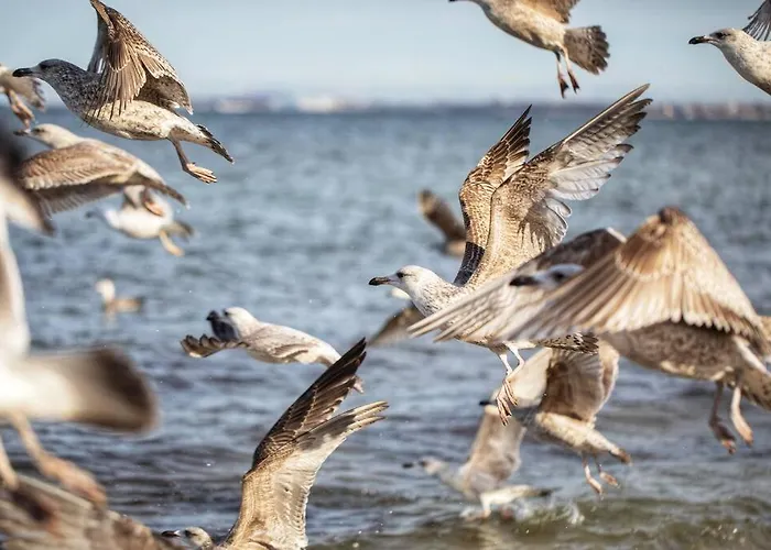 公寓 Urban Jungle Taras- Luksusowy W Gdyni.