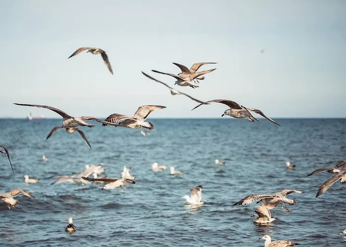 Urban Jungle Taras- Luksusowy W Gdyni. 格丁尼亚