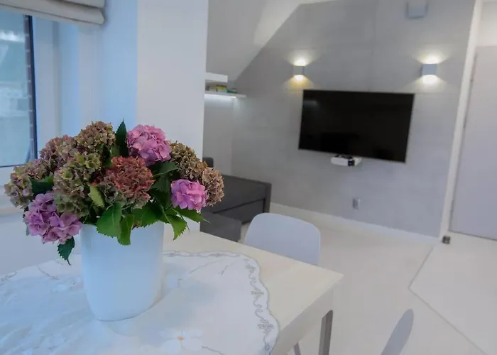 Urban Jungle Taras- Luksusowy W Gdyni. *