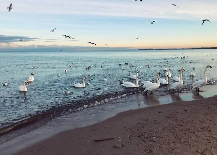 Urban Jungle Taras- Luksusowy W Gdyni. * Gdynia