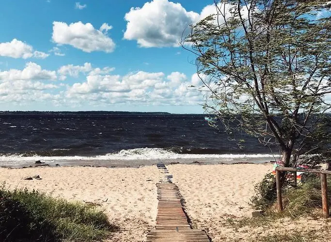 Urban Jungle Taras- Luksusowy W Gdyni. * Gdynia